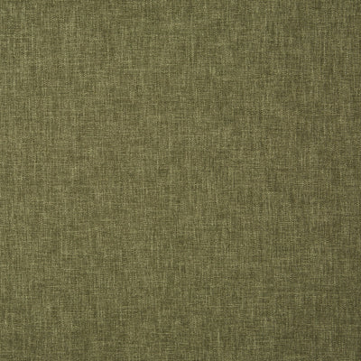 Oslo Fern