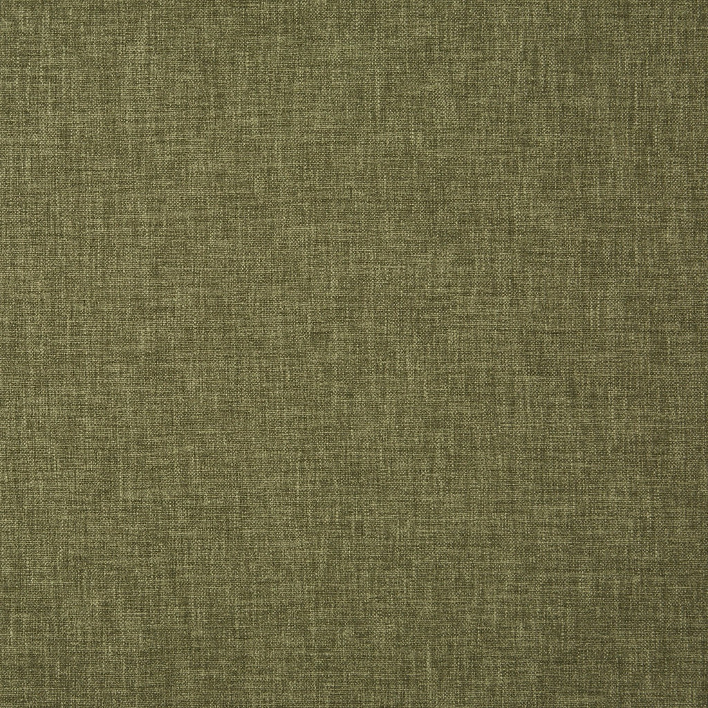 Oslo Fern