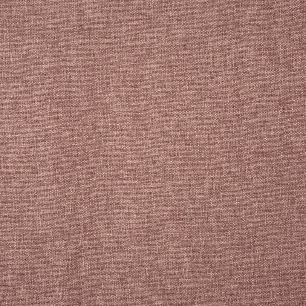 Oslo Clover