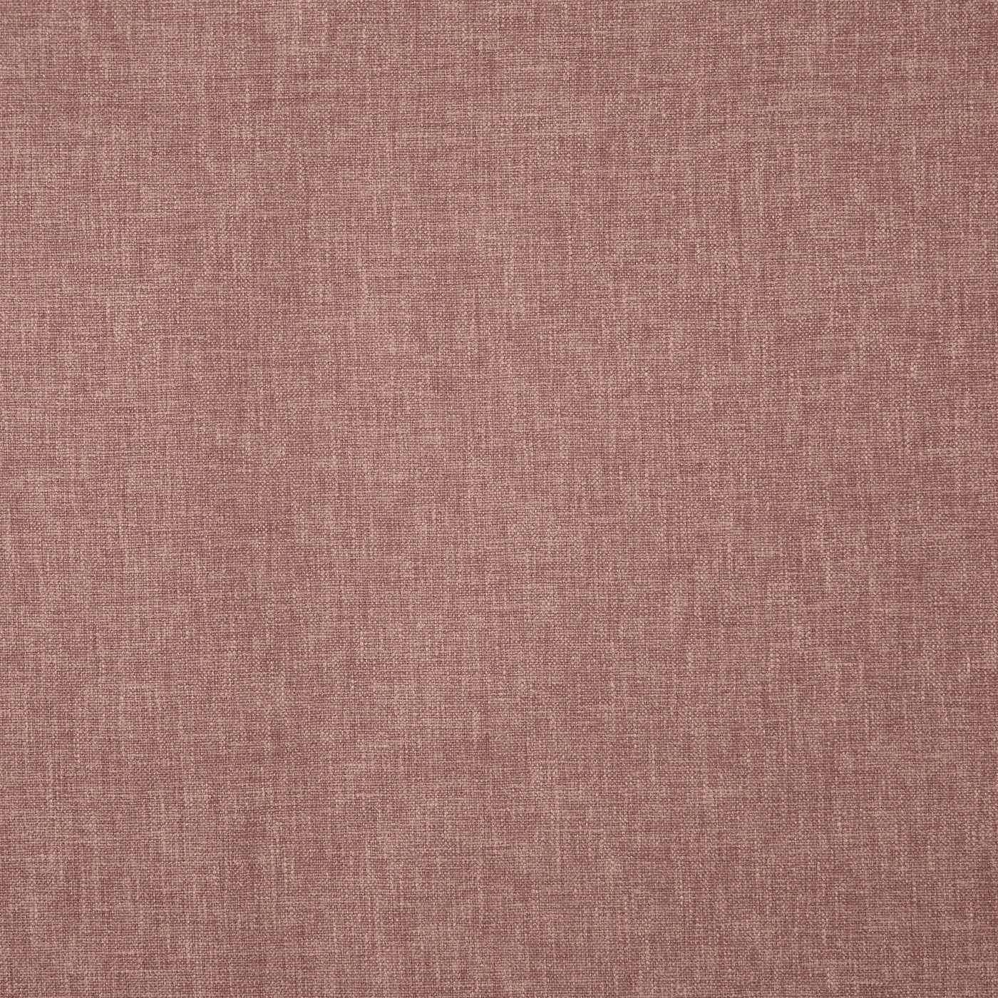 Oslo Clover