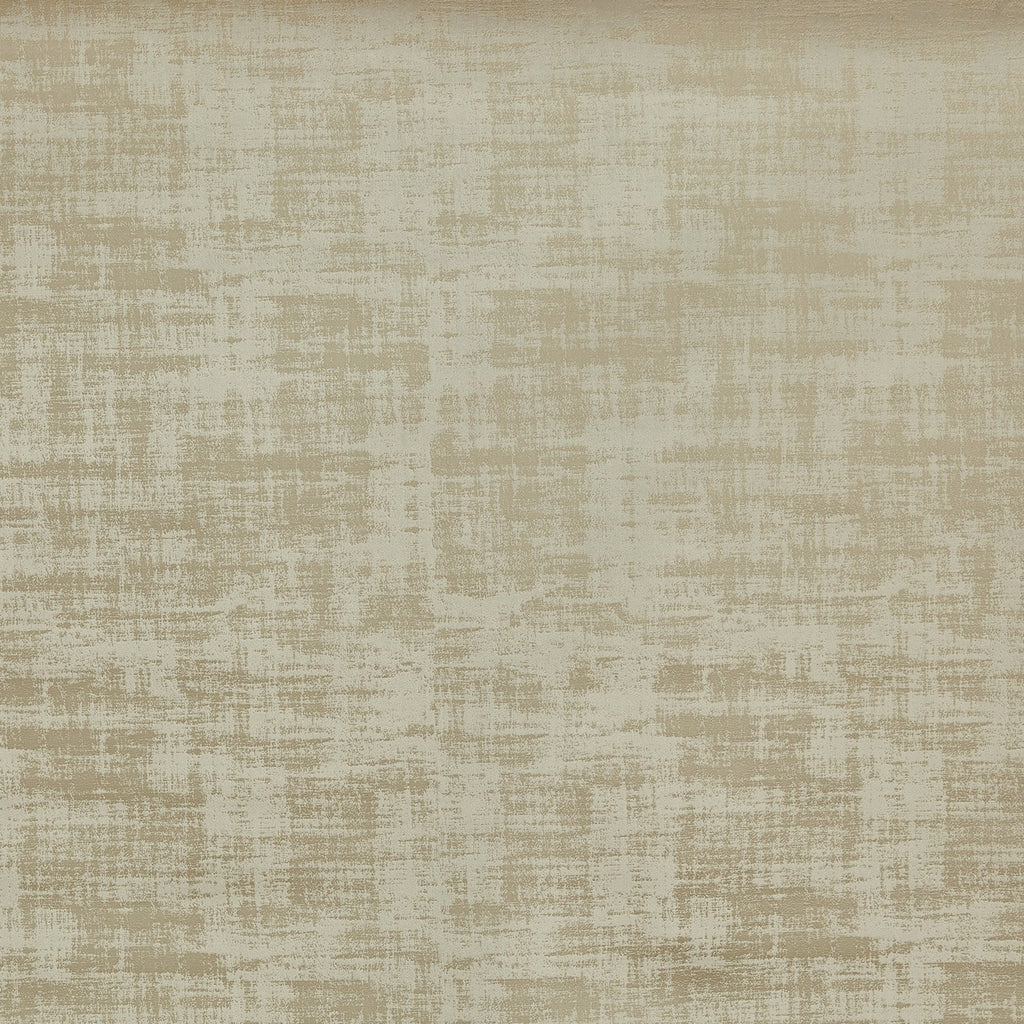 Imagination Camel – Eco
