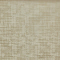Imagination Camel – Eco