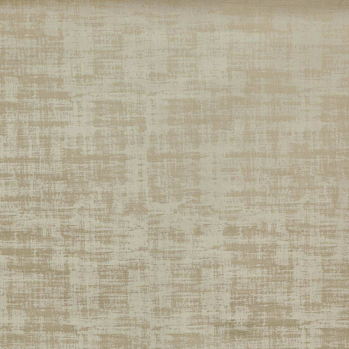 Imagination Camel – Eco