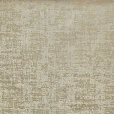 Imagination Camel – Eco