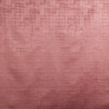 Imagination Rose