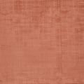 Imagination Apricot – Eco