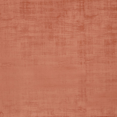 Imagination Apricot – Eco