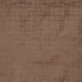 Imagination Pecan – Eco