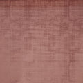 Imagination Peony – Eco