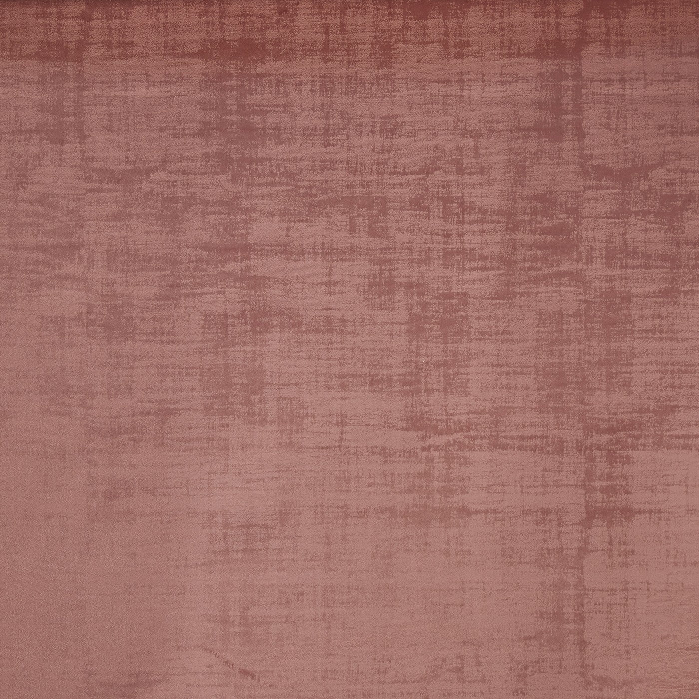 Imagination Peony – Eco