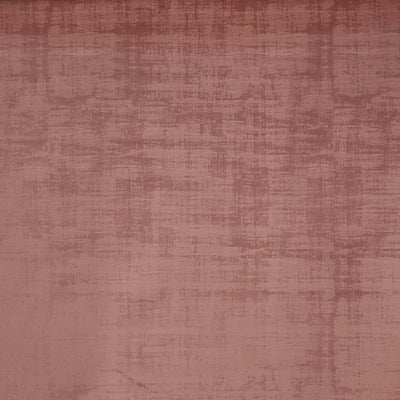 Imagination Peony – Eco