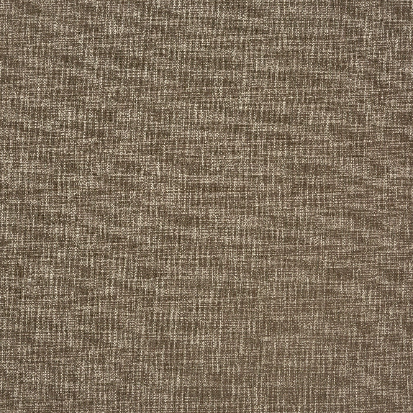 Revitalise Oak