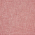 Spirit Rose