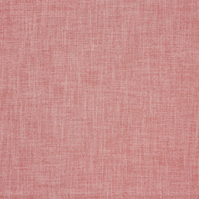 Spirit Rose