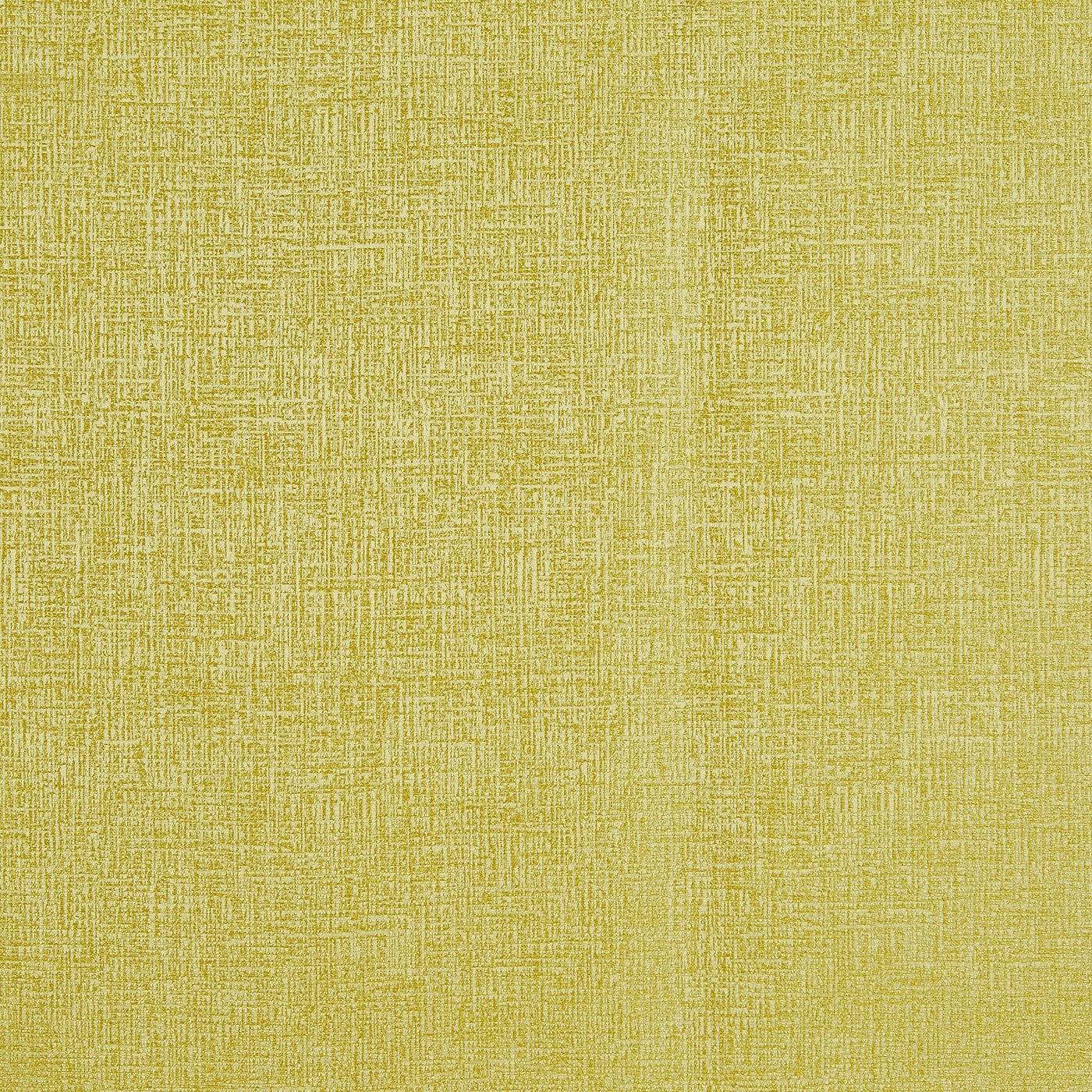 Spotlight Citron