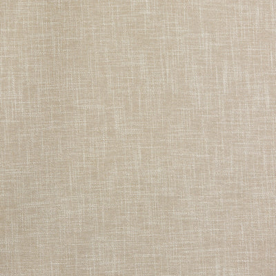 Helsinki Calico