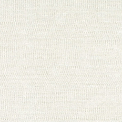 Alcor Oyster