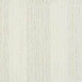 Chiron Canvas