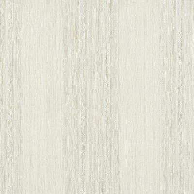 Chiron Canvas