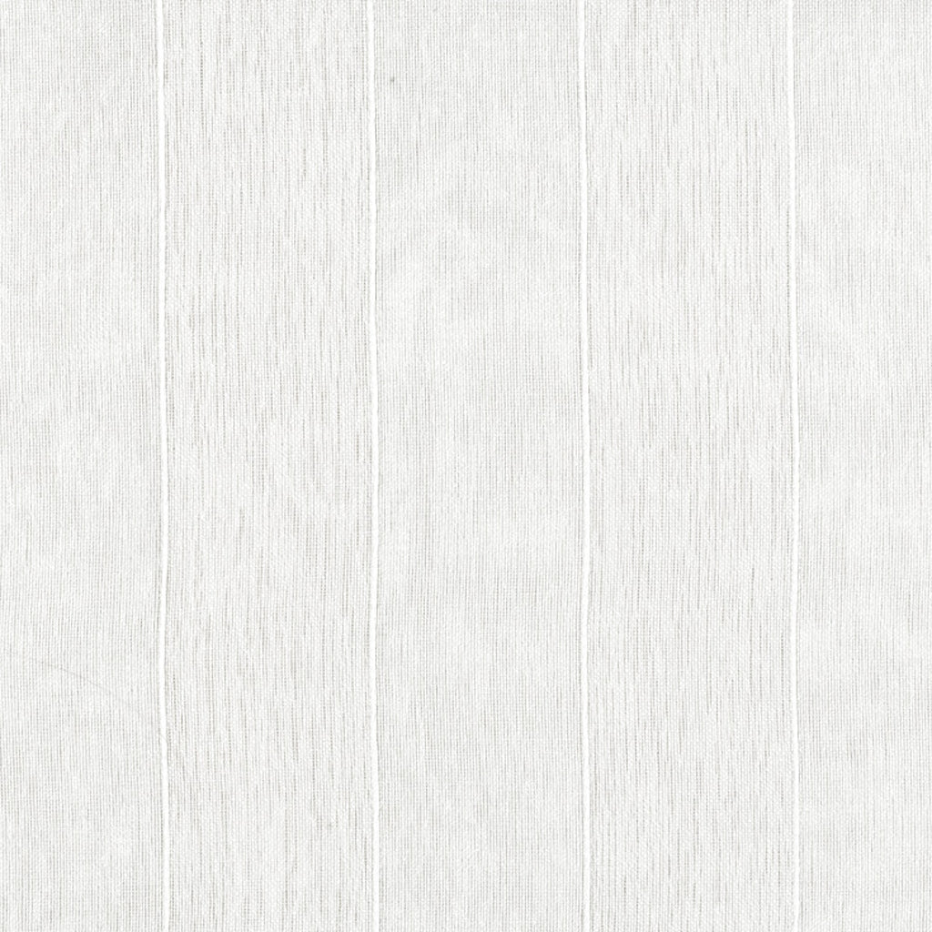 Delphinus Snow