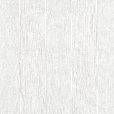 Delphinus Snow