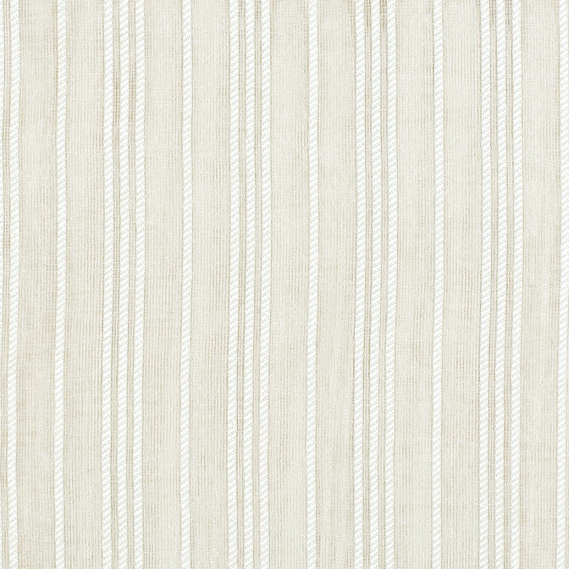 Hale Parchment