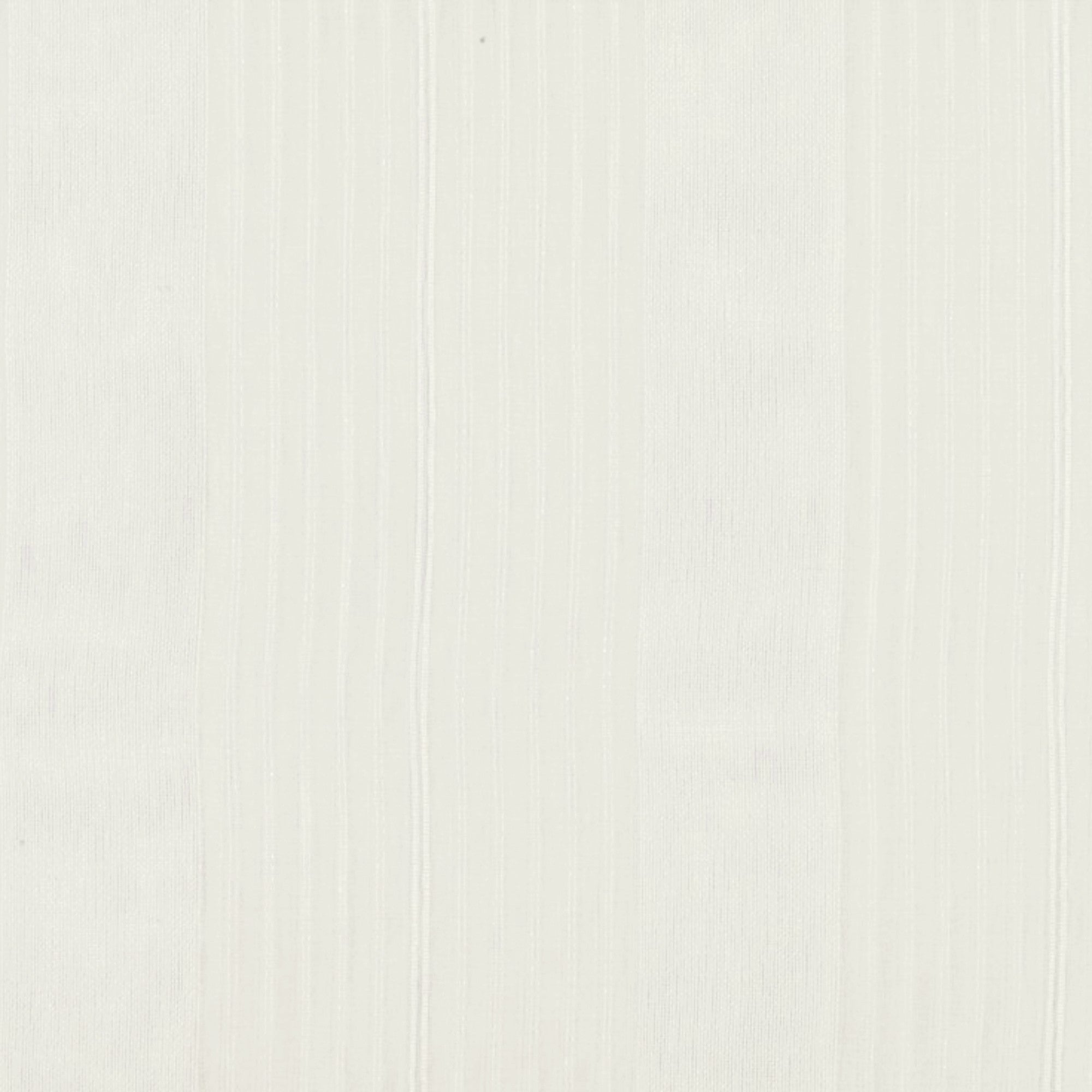 Rigel Parchment
