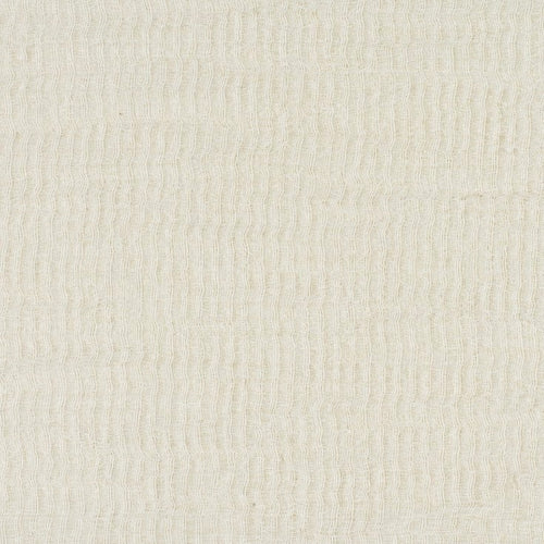 Alpha Canvas