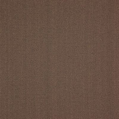 Helston Cinnamon