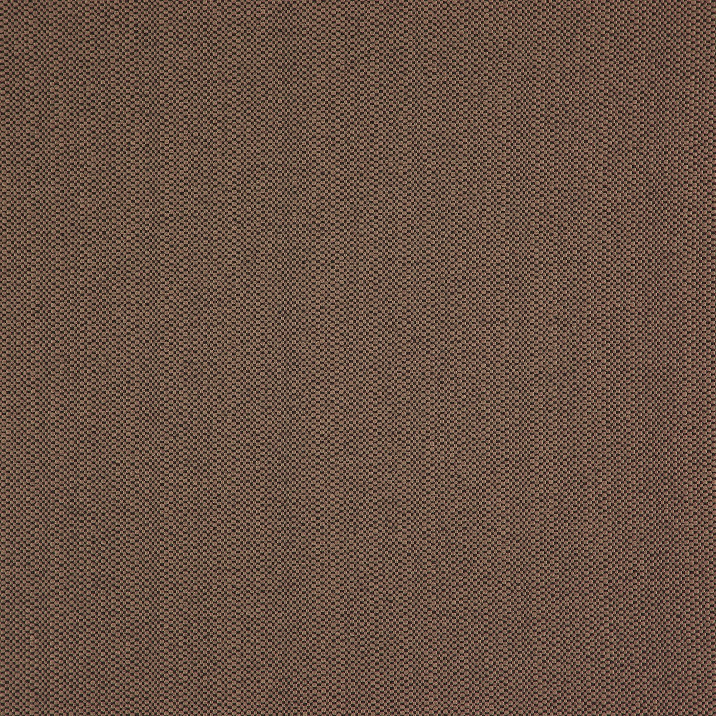 Helston Cinnamon