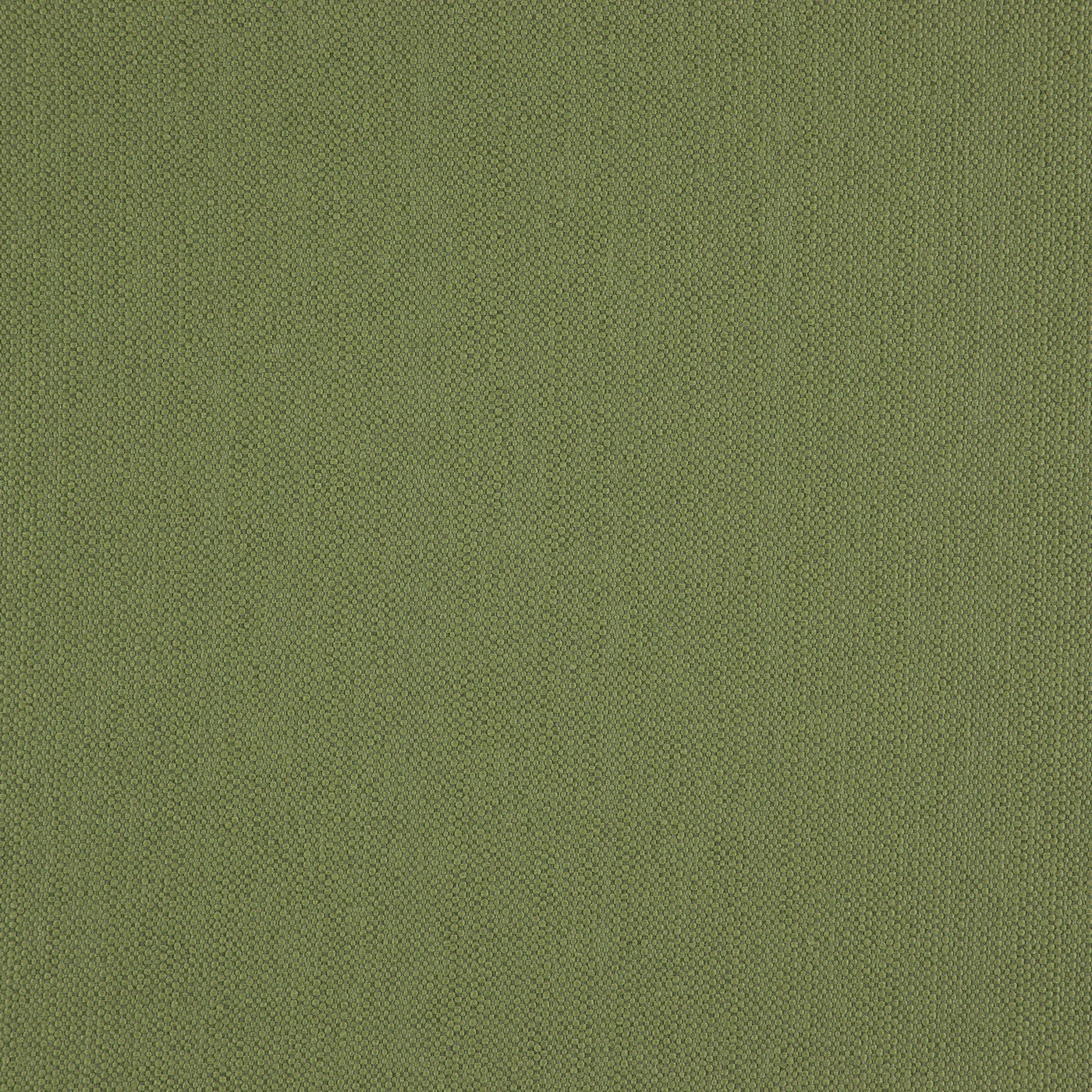 Helston Olive