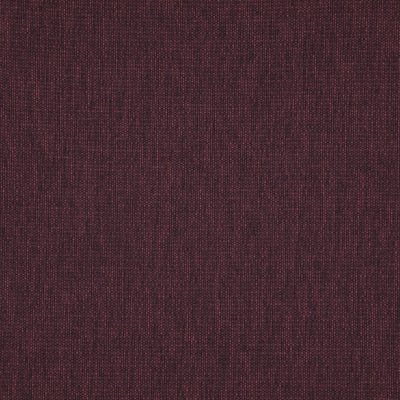 Penzance Mulberry