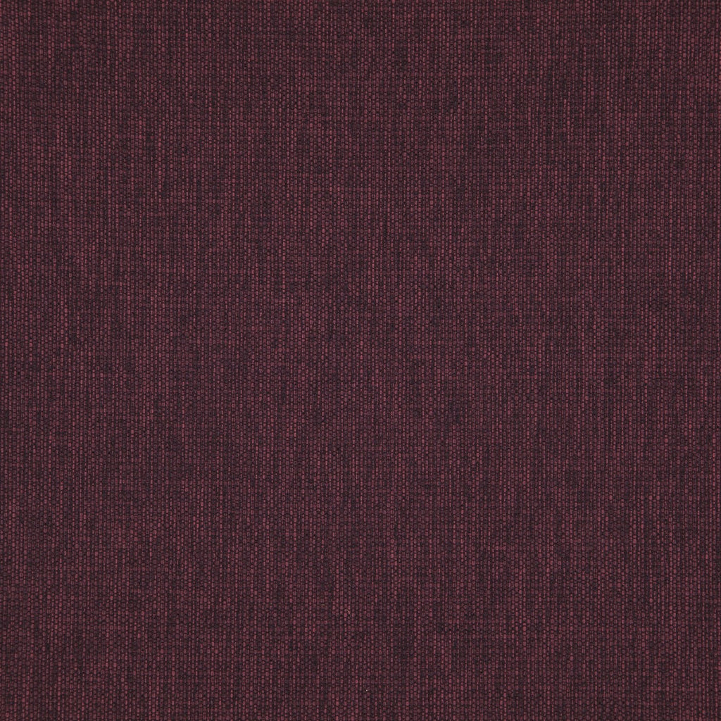 Penzance Mulberry