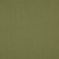 Penzance Olive