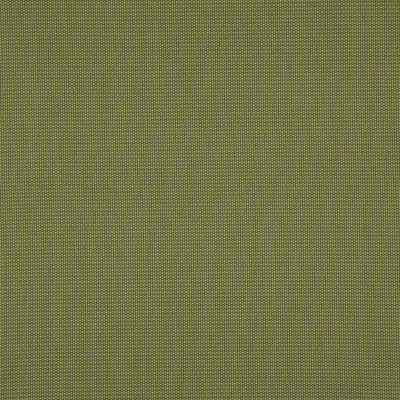 Penzance Olive