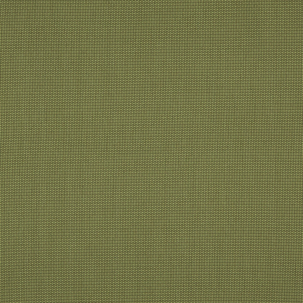 Penzance Olive