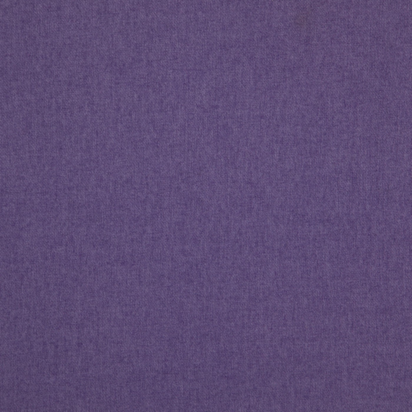 Portreath Violet
