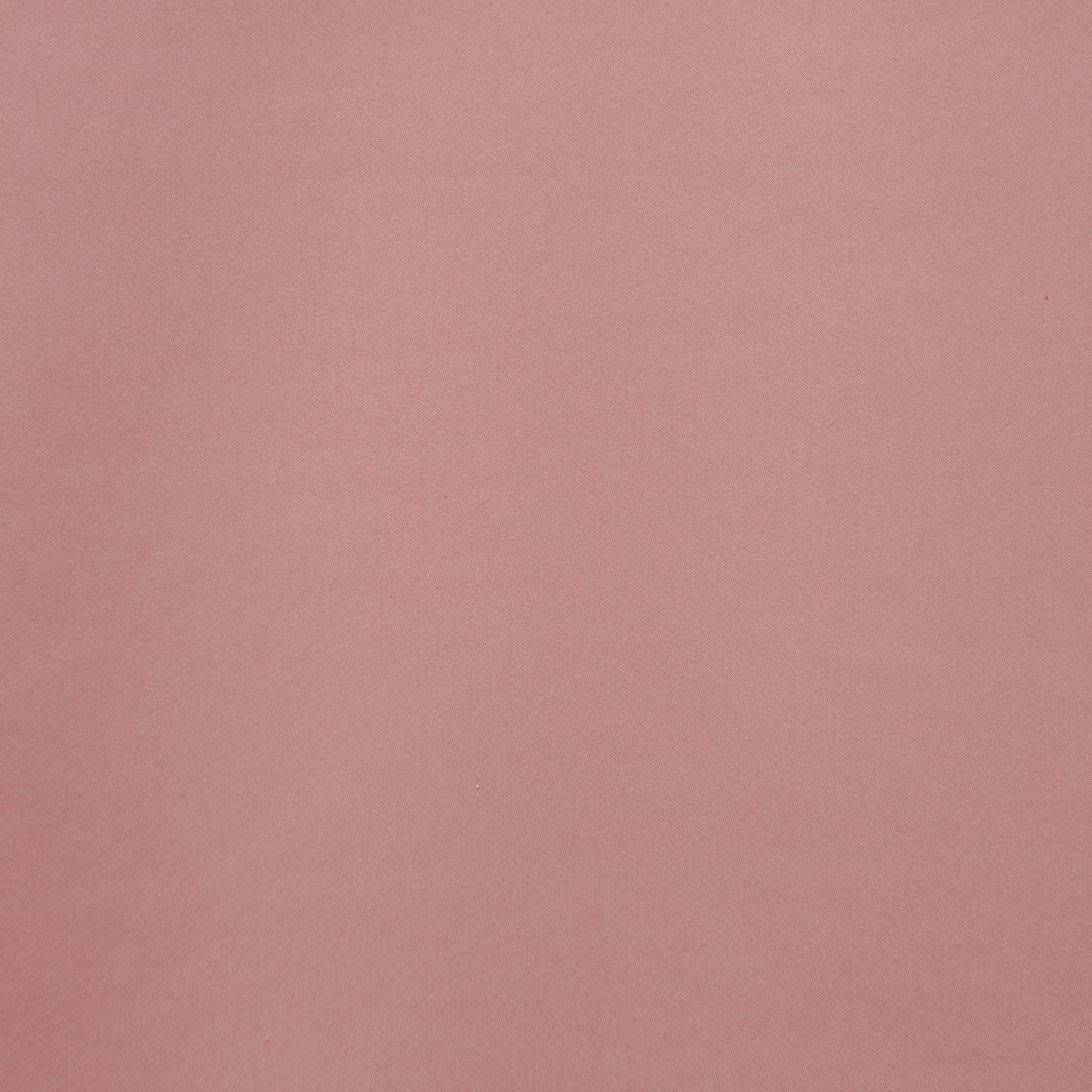 Calm Rose