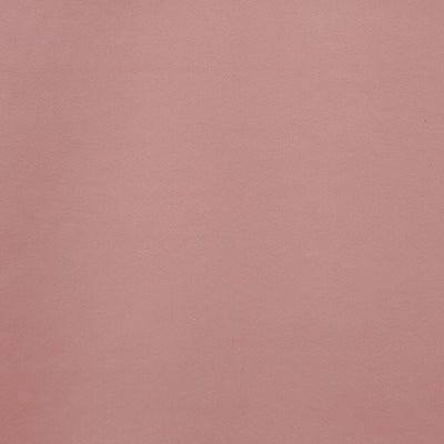 Calm Rose