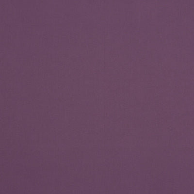 Calm Aubergine