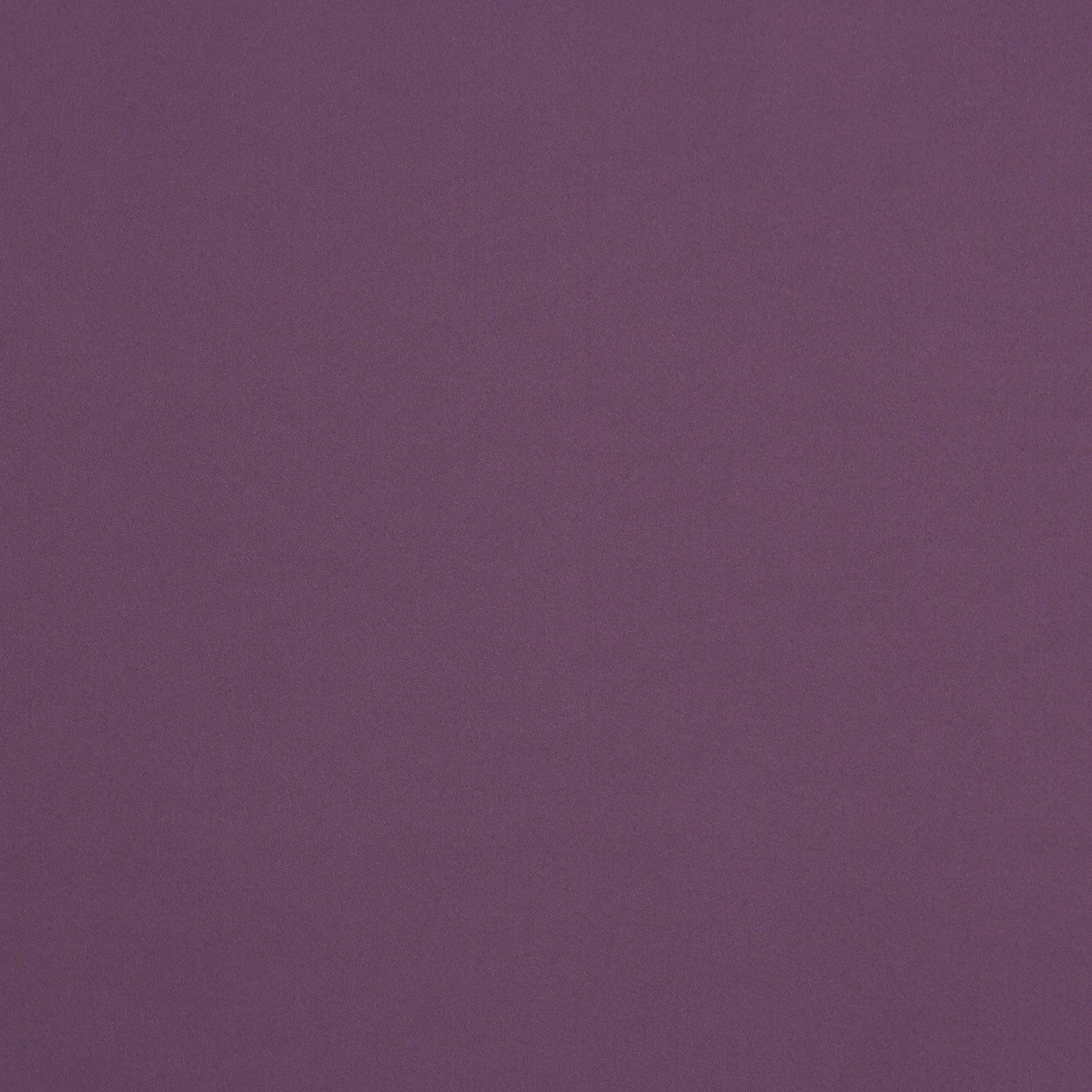 Calm Aubergine