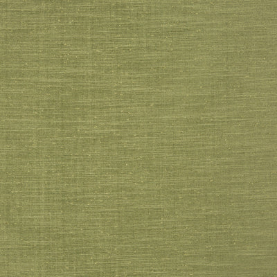 Tussah Forest