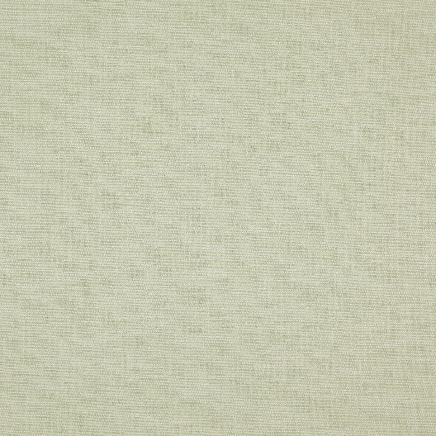 Azores Hemp