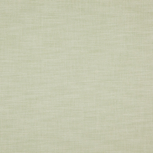 Azores Hemp