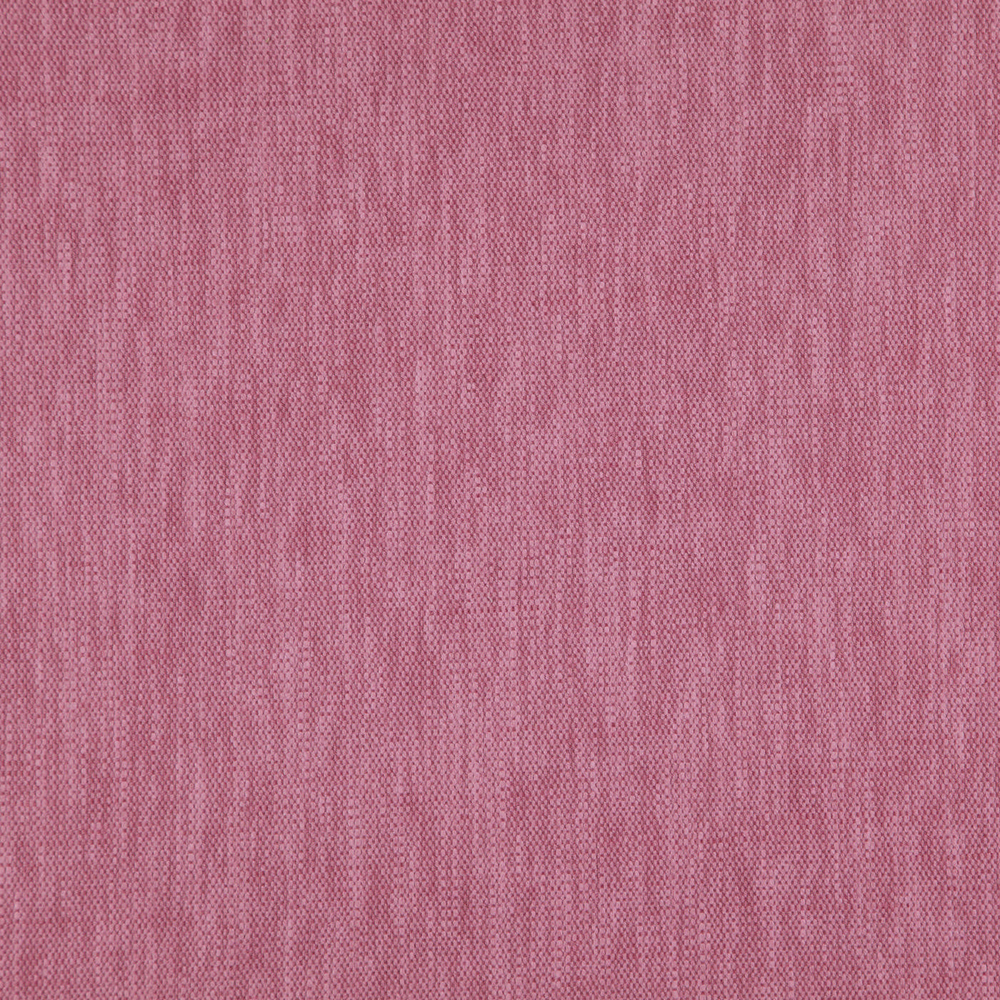 Madeira Peony