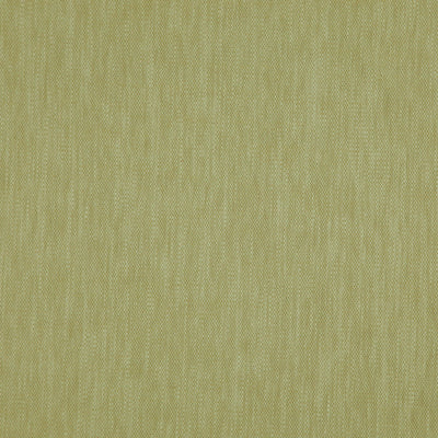 Madeira Olive