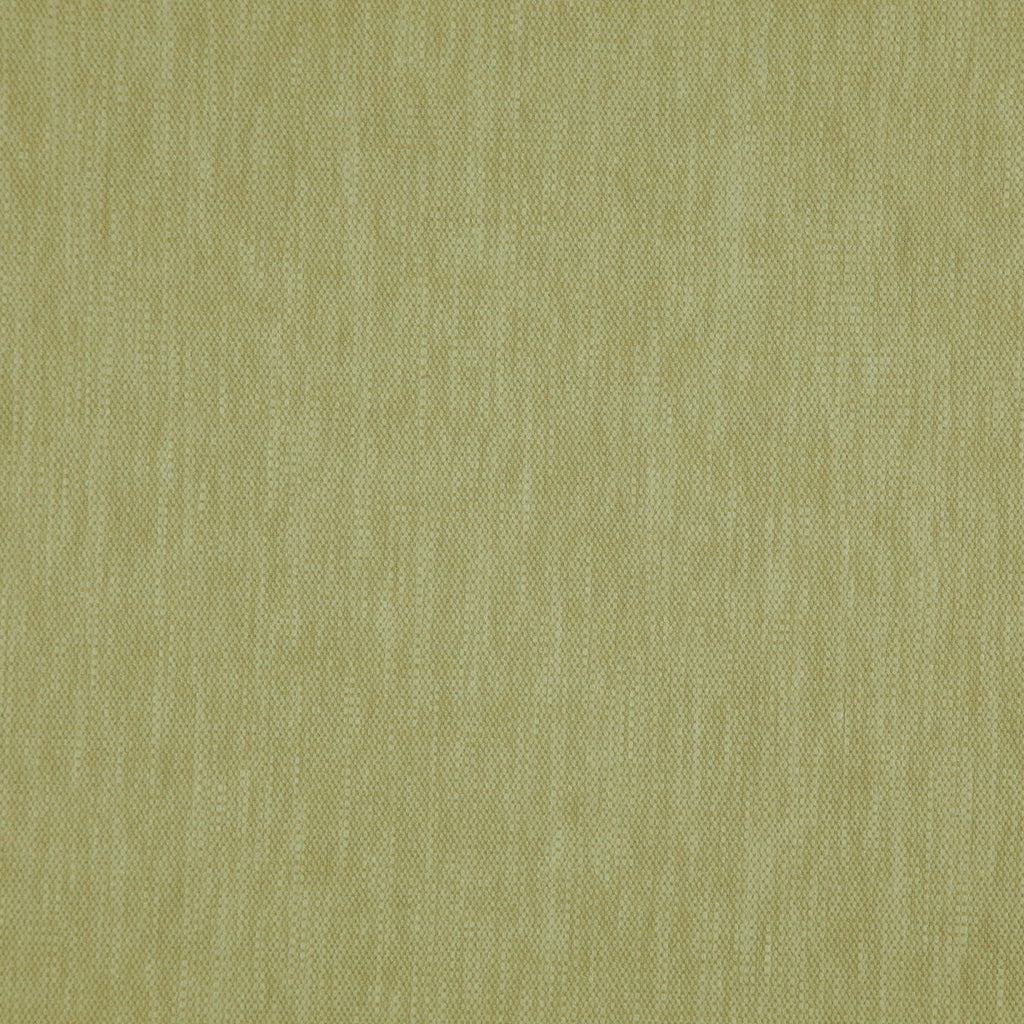 Madeira Olive