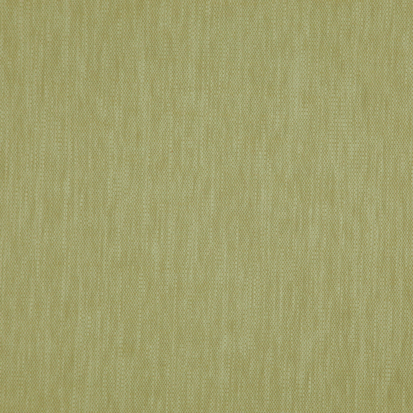 Madeira Olive
