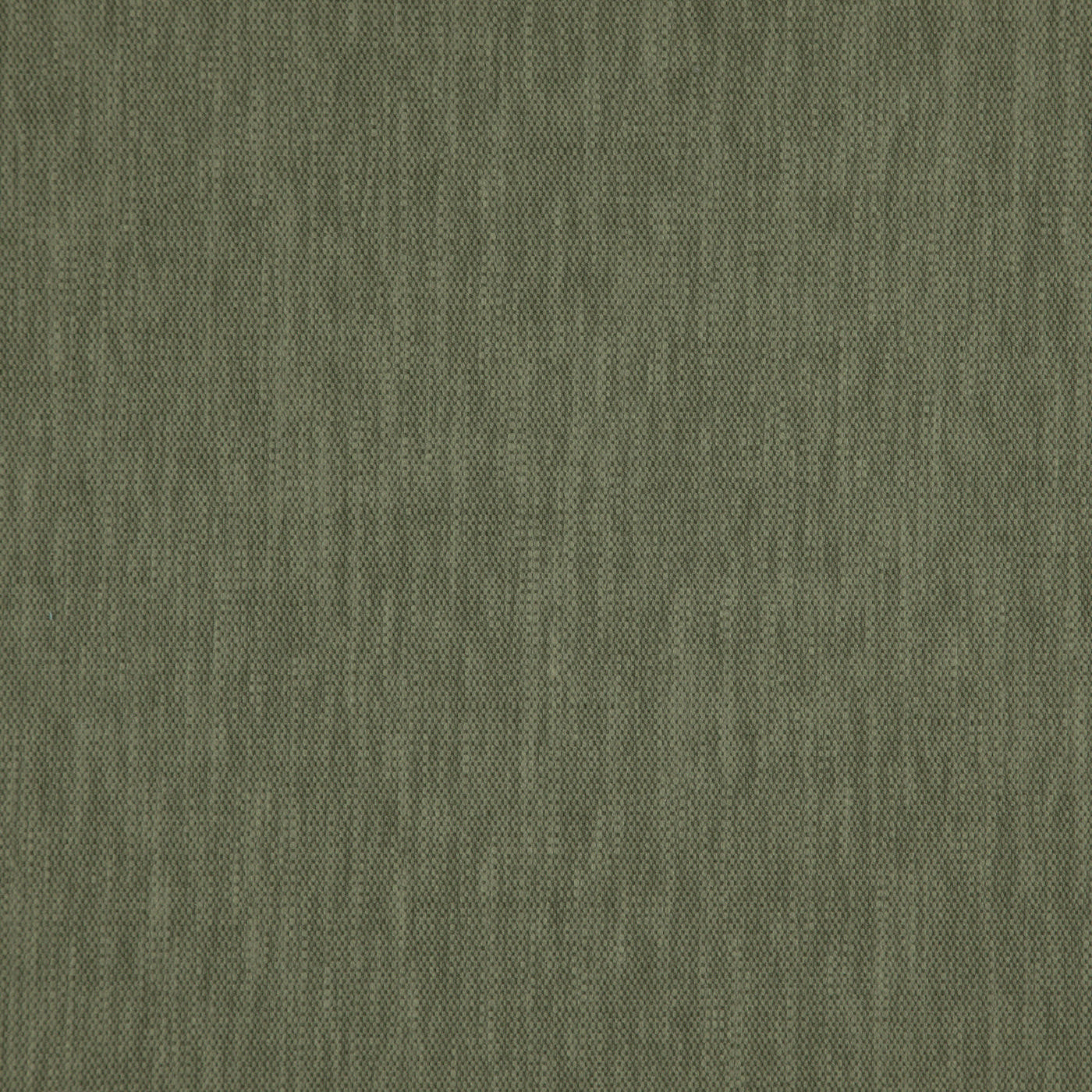 Madeira Moss