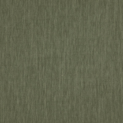 Madeira Moss